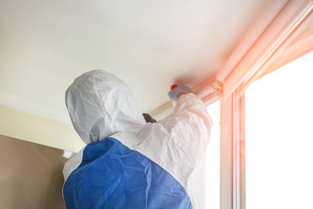 Fayette, OH Mold Removal & Remediation Company